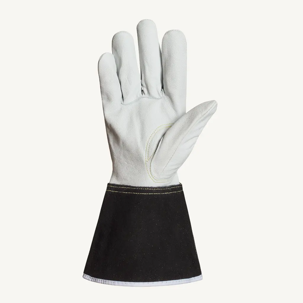 370CTIG-Palm.webp
