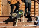 243602-1065-07-action5.webp