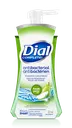 DIAL PUMP HAND SOAP FOAMING (VARIOUS SCENTS)