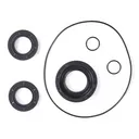 DIFFERENTIAL SEAL KIT FT C-AM ALLBALLS
