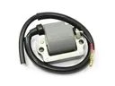 EXTERNAL IGNITION COIL YAMAHA