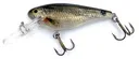 Cotton Cordell CD12STS1 CC Shad Spot Tail Shiner, Big Rock Custom Color Series, 2.5", Diving Depth 8-20 Feet