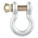 Golden Pin Screw Anchor Shackles