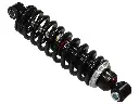 GAS SHOCK W/SPRING Polaris