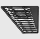  11PC COMBO WRENCH SET - METRIC