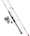 Daiwa CFLT25G662M Crossfire Combos