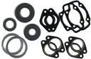 COMPLETE GASKET SET W/OIL SEAL BRP