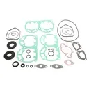 COMPLETE GASKET SET W/OIL SEAL BRP