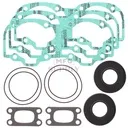 COMPLETE GASKET SET W/OIL SEAL BRP