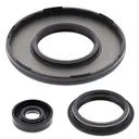 CRANKCASE OIL SEAL SET SKI-DOO WINDEROSA
