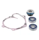 WATER PUMP REBUILD KIT POLARIS