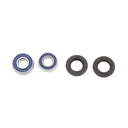 ALL BALLS WHEEL BEARING KIT (25-1168)