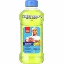 MR CLEAN Multi-Purpose Antibacterial Cleaner, Bottle